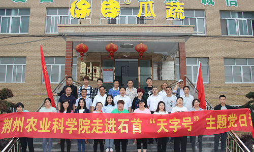 荆州农业科学院走进石首&ldquo;天字号&rdquo;合作社开展主题党日活动