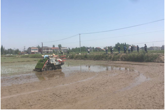 164224917.jpg 1551247052318746.jpg