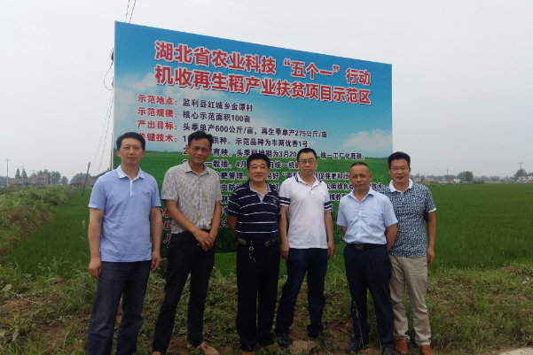 164730540.jpg 1551247262623025.jpg