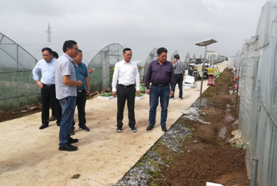 094144784.jpg 1558943344549343.jpg