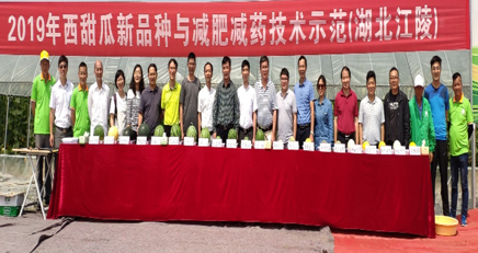 094416114.jpg 1559788474595947.jpg