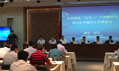 095110118.jpg 1560746437708346.jpg