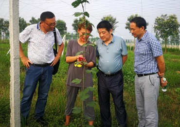 095912929.jpg 1561936522631964.jpg