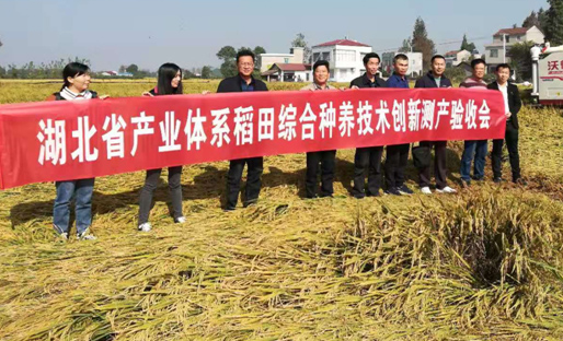 荆州农业科学院邀请专家进行&ldquo;稻田综合种养技术集成与创新&rdquo;示范及...