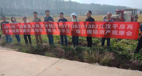 112308694.jpg 1572922473592074.jpg