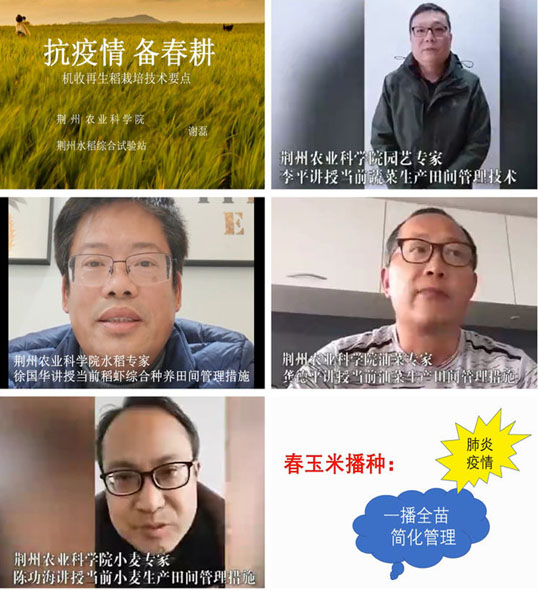 144216119.jpg 1584931165431608.jpg