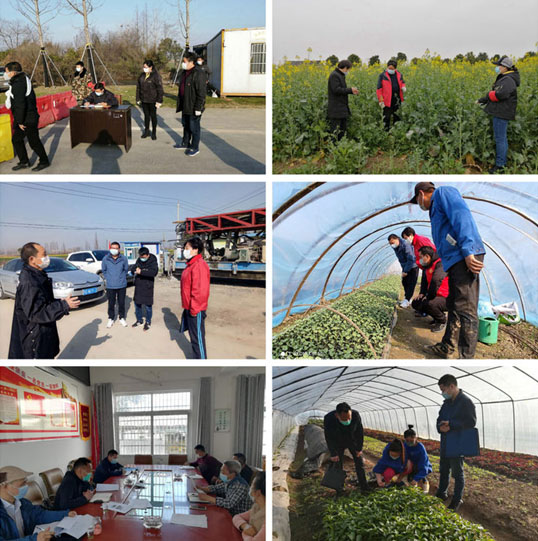 144400445.jpg 1584931240361553.jpg