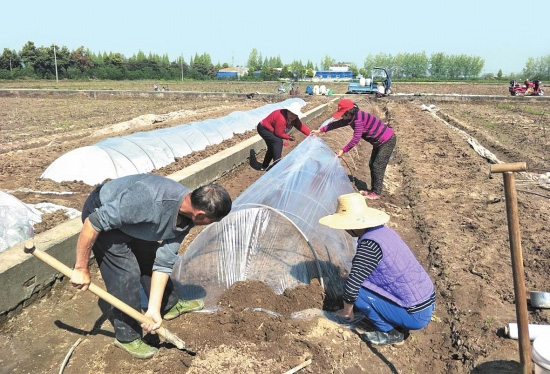 150813253.jpg 1586917124580842.jpg