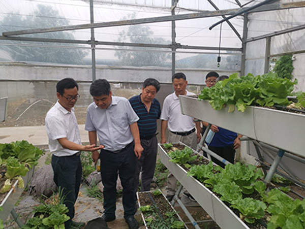 163322255.jpg 1591687224943514.jpg