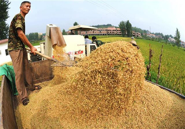 172237110.jpg 1602128560122167.jpg