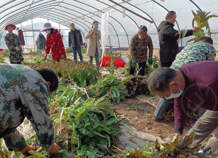 111810348.png QQ截图20210329110813.png