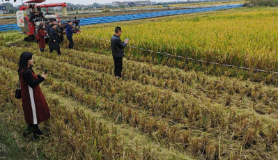 &ldquo;稻+鸭+蛙&rdquo;生态协同种养技术示范现场观摩测产活动举行