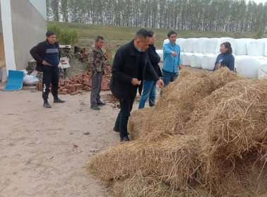 荆州农业科学院专家团队到公安县指导&ldquo;棉-菇&rdquo;模式  延长产业链条