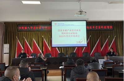 111916100.png QQ截图20220323105014.png