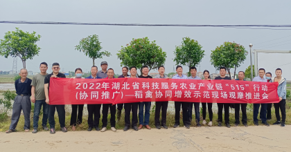 再生稻农机农业融合技术暨&ldquo;稻再鸭&rdquo;生态协同种养技术示范现场观摩...