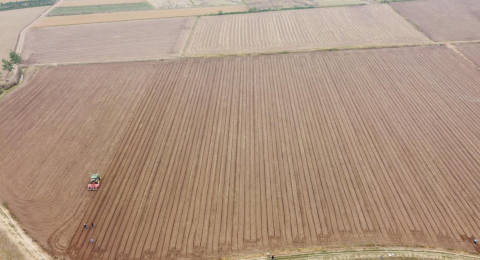 164417708.png 微信截图_20220519160838.png