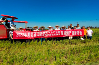 荆州农业科学院组织湖北省科技服务农业产业链 &ldquo;稻+再+鸭&rdquo;生态协...