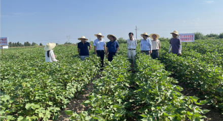 184922102.png 微信截图_20220817183905.png