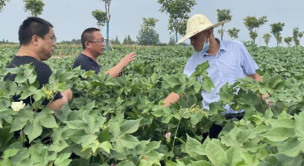 184943120.png 微信截图_20220817184127.png