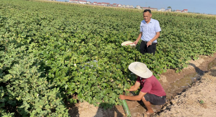 185003757.png 微信截图_20220817184334.png