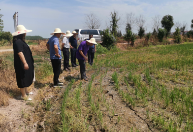 170950106.png QQ截图20220818164556.png