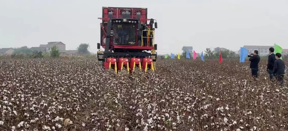 110511102.png 微信截图_20221028104742.png