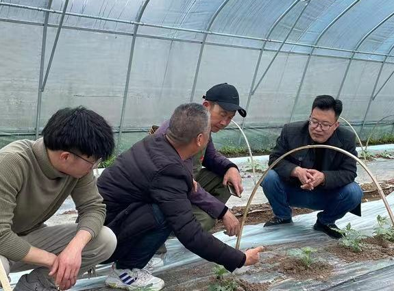 110541580.png QQ截图20230329105229.png