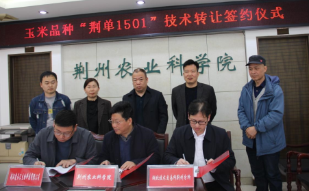 160607576.png QQ截图20230331160035.png