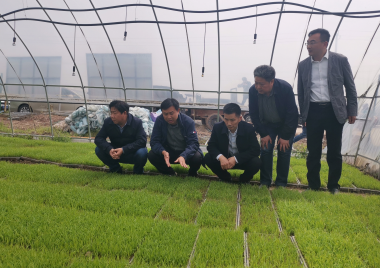 173710962.png 微信截图_20230411173300.png