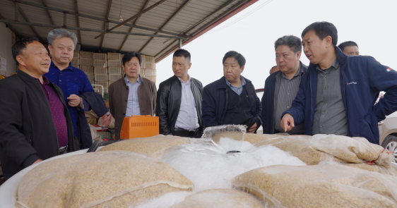 112621103.png QQ截图20230413110649.png