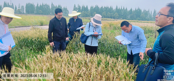 112917207.png 微信截图_20230510105835.png