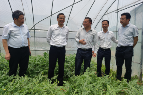 省农科院党委书记刘晓洪来荆参加&ldquo;西瓜节&rdquo;活动并开展调研