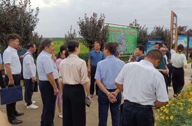 104905189.png 微信截图_20230719112643.png