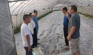 102856696.png 微信截图_20230818102600.png