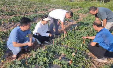 102919124.png 微信截图_20230818102702.png