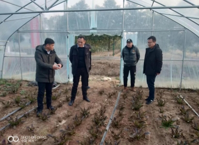 161128720.png 微信截图_20240116160331.png