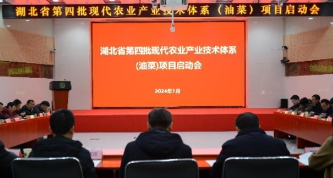 160856700.png 油1截图_20240130153015.png