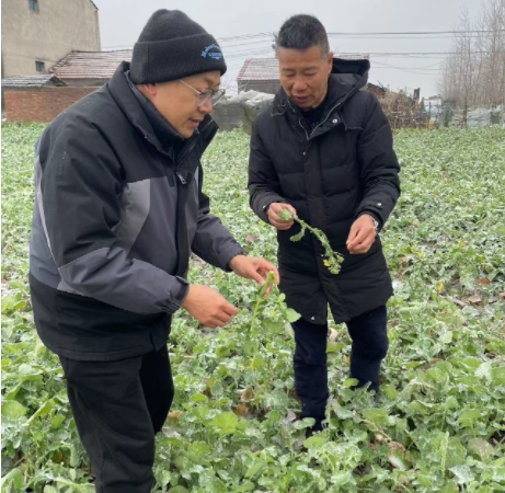 162917914.png 微信截图_20240202161421.png