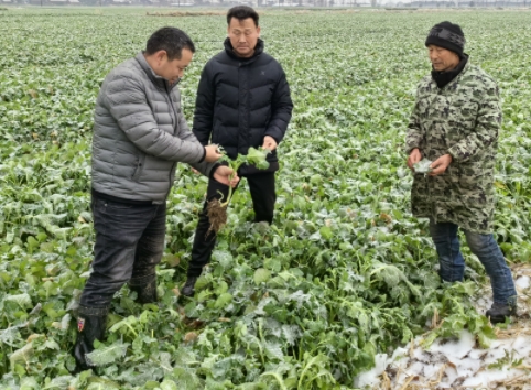 162943757.png 微信截图_20240202161647.png