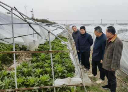 111413373.png 阳1_20240220110515.png