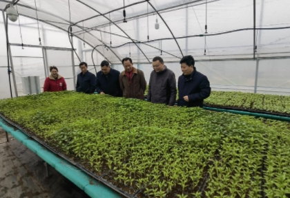 111442135.png 阳2图_20240220110641.png