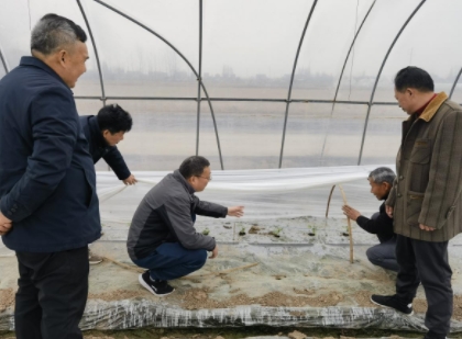 111502350.png 阳3_20240220110806.png