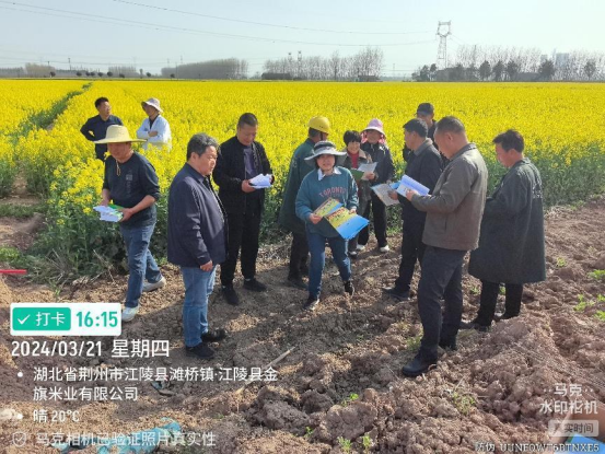 095031410.png image.png