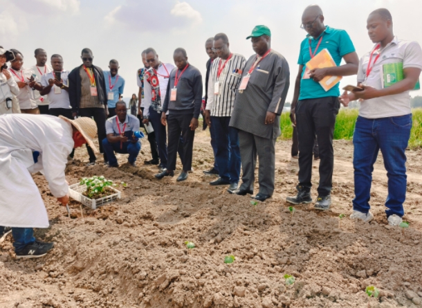 152056105.png 微信截图_20240426150510.png