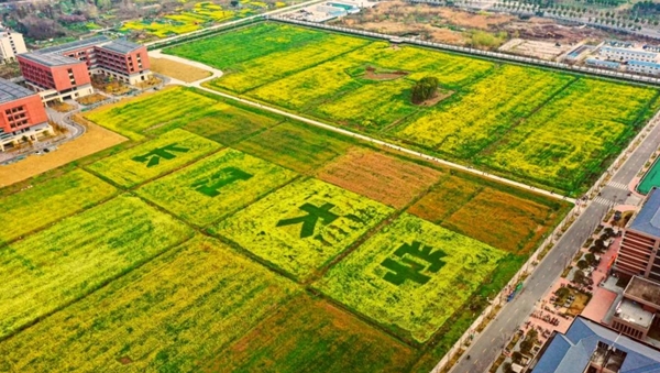 170948130.png 微信截图_20250328170324.png