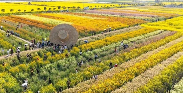 171049110.png 微信截图_20250328170358.png