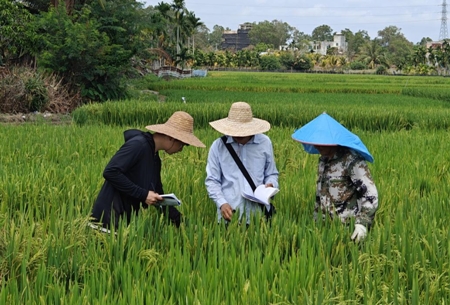 112022463.png 微信截图_20250402111550.png