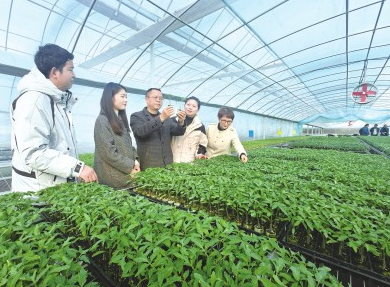 日报2.png 日报2.png