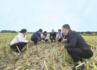 日报1.png 日报1.png