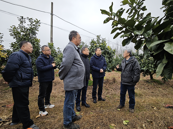 171725101.png 551.png